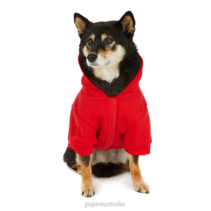 Pajar Clothing 00VJ529 Minto Hoodie for Dogs CURRENT RED