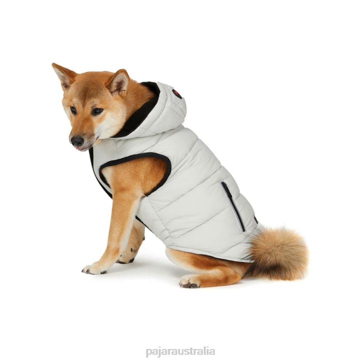 Pajar Clothing 00VJ532 Duke Jacket for Dogs SILVER