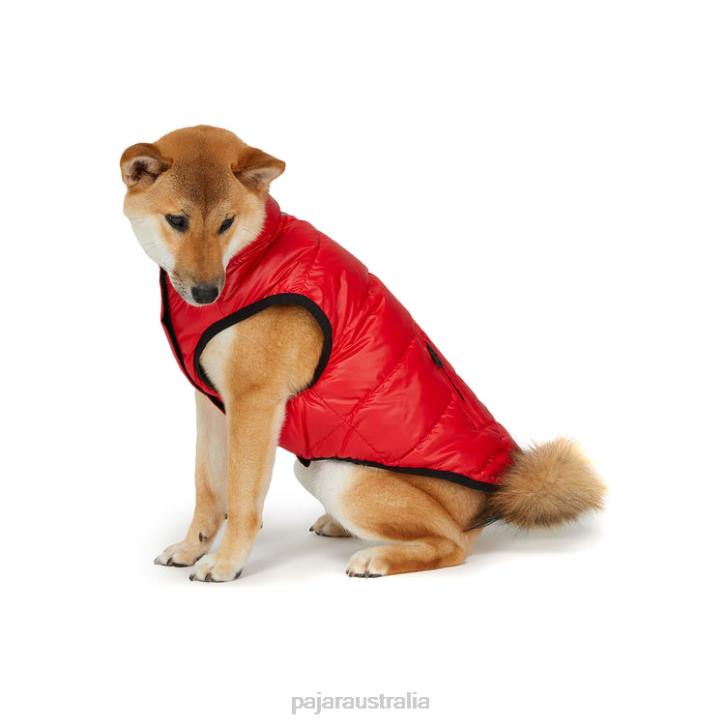 Pajar Clothing 00VJ536 Skana Reversible Jacket for Dogs Current Red