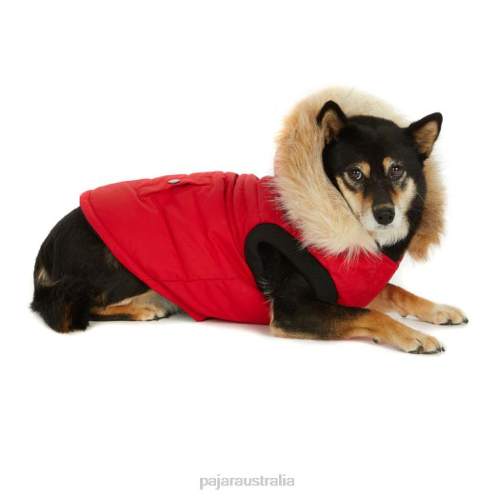 Pajar Clothing 00VJ539 Toby Jacket for Dogs Current Red