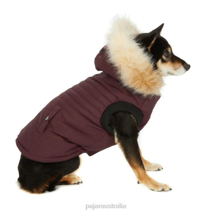 Pajar Clothing 00VJ540 Toby Jacket for Dogs OX BLOOD