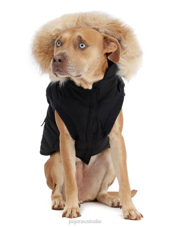 Pajar Clothing 00VJ545 Zeus Jacket for Dogs w/Faux Fur Trim BLACK
