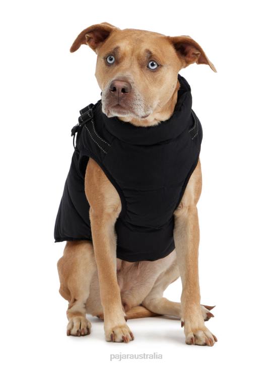 Pajar Clothing 00VJ549 Atlas Puffer Jacket with Built-In Harness for Dogs BLACK
