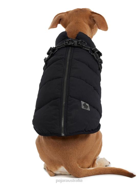 Pajar Clothing 00VJ549 Atlas Puffer Jacket with Built-In Harness for Dogs BLACK