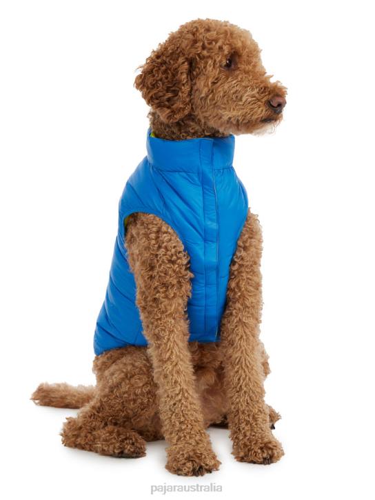 Pajar Clothing 00VJ554 Cora Reversible Packable Puffer for Dogs BLUE