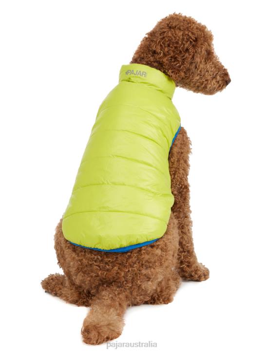 Pajar Clothing 00VJ554 Cora Reversible Packable Puffer for Dogs BLUE