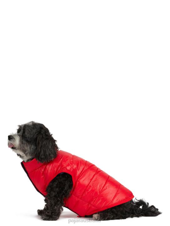 Pajar Clothing 00VJ555 Cora Reversible Packable Puffer for Dogs CURRENT RED