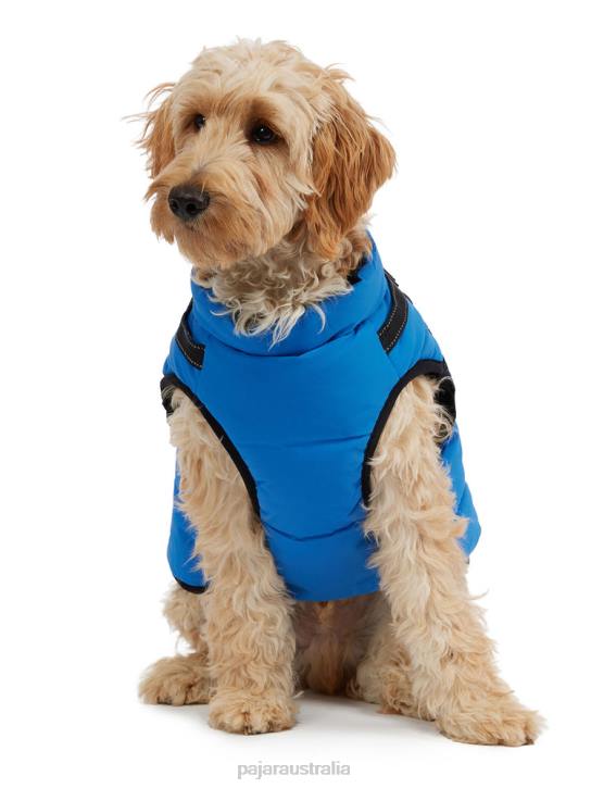 Pajar Clothing 00VJ557 Atlas Puffer Jacket with Built-In Harness for Dogs BLUE