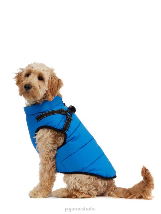 Pajar Clothing 00VJ557 Atlas Puffer Jacket with Built-In Harness for Dogs BLUE