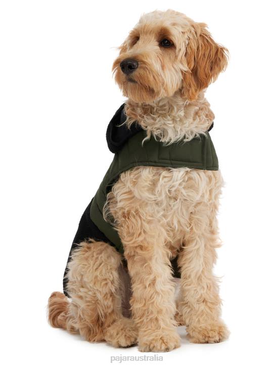 Pajar Clothing 00VJ558 Loki Easy Fit Jacket w/Hood for Dogs MILITARY