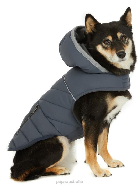 Pajar Clothing 00VJ559 Denver Easy Fit Jacket for Dogs GRAPHITE