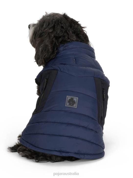 Pajar Clothing 00VJ560 Beau Jacket w/Leash Attachment NAVY