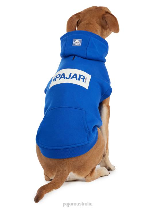 Pajar Clothing 00VJ562 Dash Hoodie for Dogs COBALT