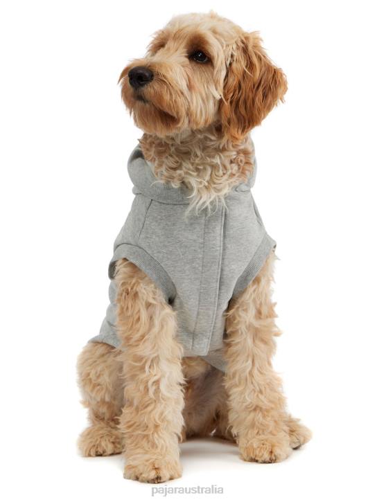 Pajar Clothing 00VJ563 Dash Hoodie for Dogs GREY
