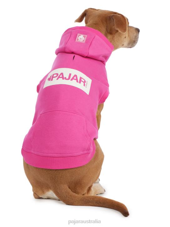 Pajar Clothing 00VJ564 Dash Hoodie for Dogs PINK