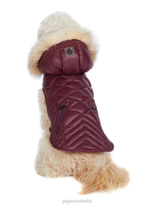 Pajar Clothing 00VJ565 Zola Jacket for Dogs w/Faux Fur Trim OX BLOOD